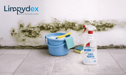come eliminare la muffa